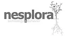 Logo de Nesplora, entidad colaboradora de La Casa del Vacío